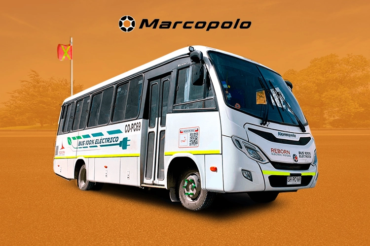 Senior Reborn Minero