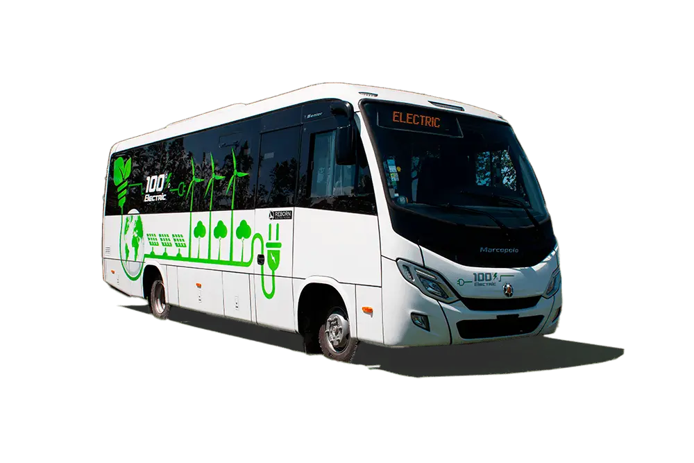 Senior Reborn Turismo
